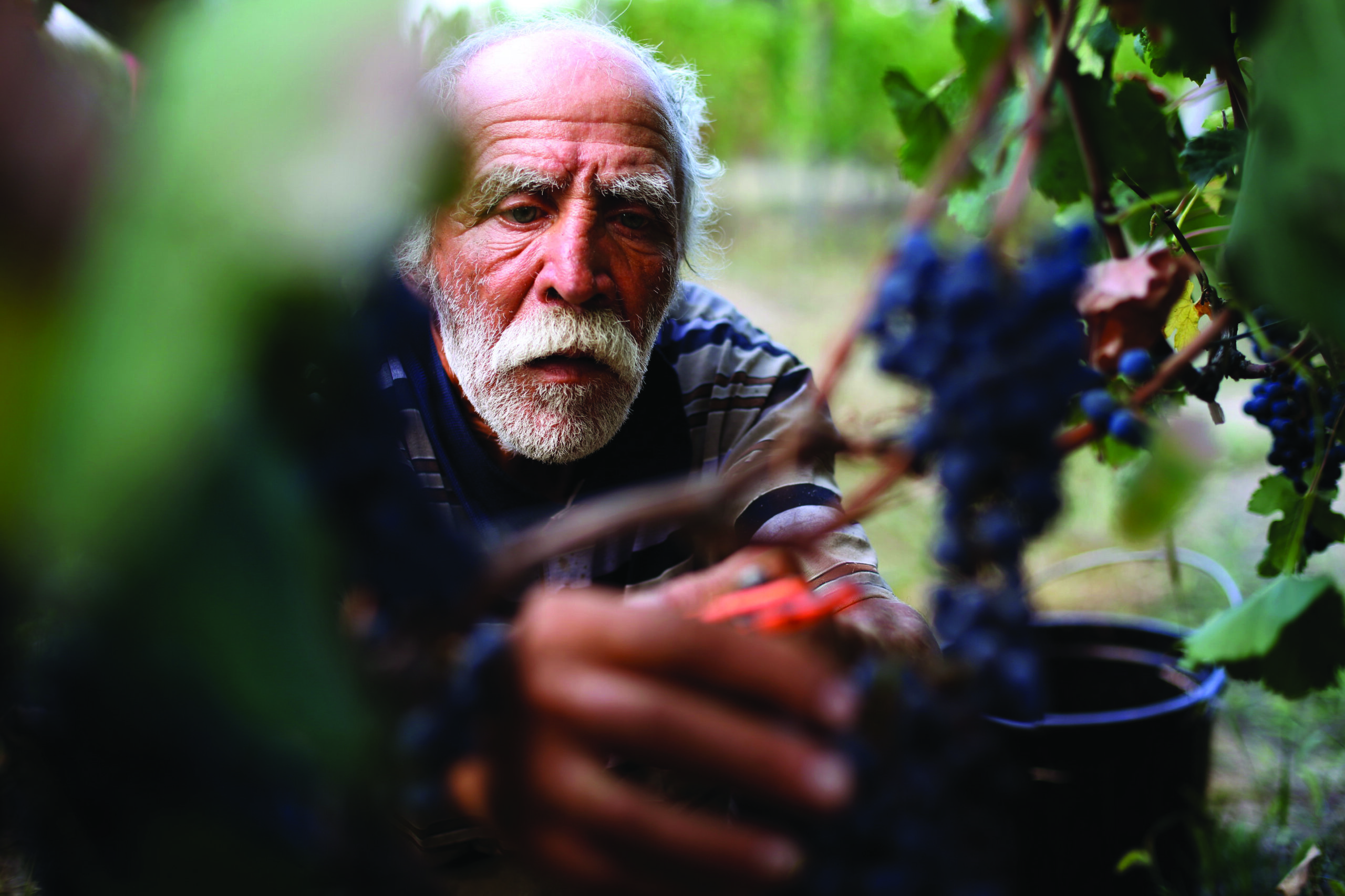 La Géorgie soutient la croissance du Royaume-Uni avec des investissements sursis