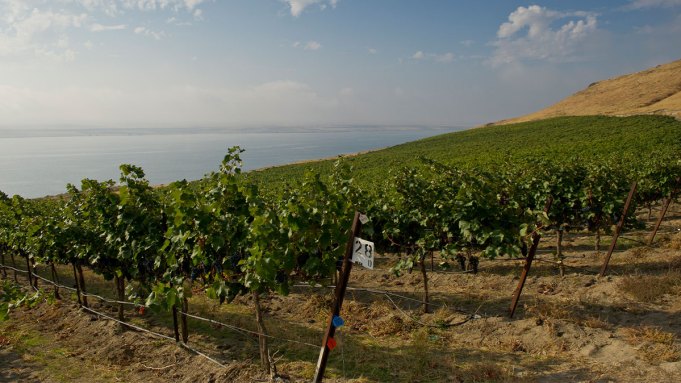 Tout ce que vous devez savoir sur le vin de l'État de Washington