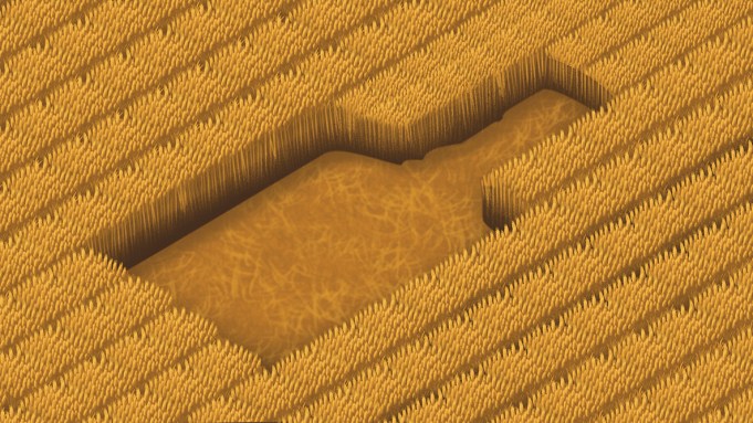 Les distillateurs préconisant une transparence radicale dans la fabrication de whisky