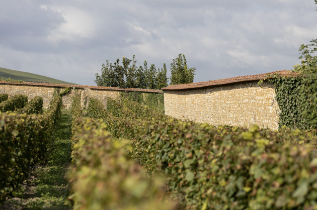 Bonhams annonce une collaboration caritative avec les barons de champagne de Rotschild