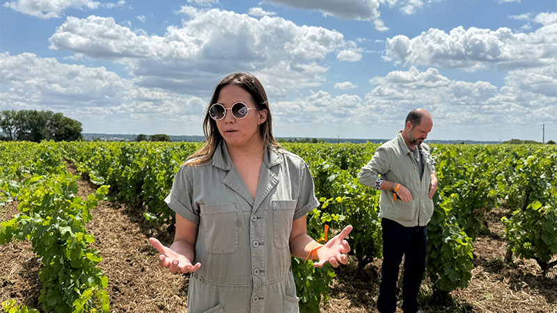 Sarah Hwang dans le vignoble Huet.