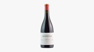 Palacios Remondo 2021 Rioja la Propiedad Viñas Viejas