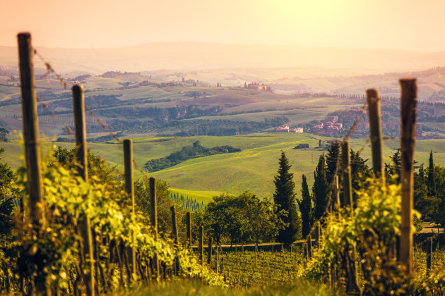 Italie: La surproduction des craintes pourrait entraîner un effondrement du prix du vin