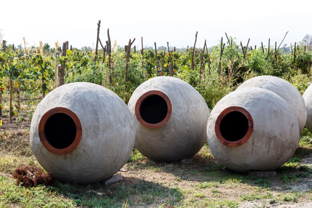 Le vin géorgien montre une forte croissance dans les supermarchés britanniques