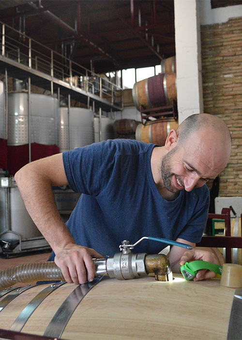 Miguel Merino Navajas