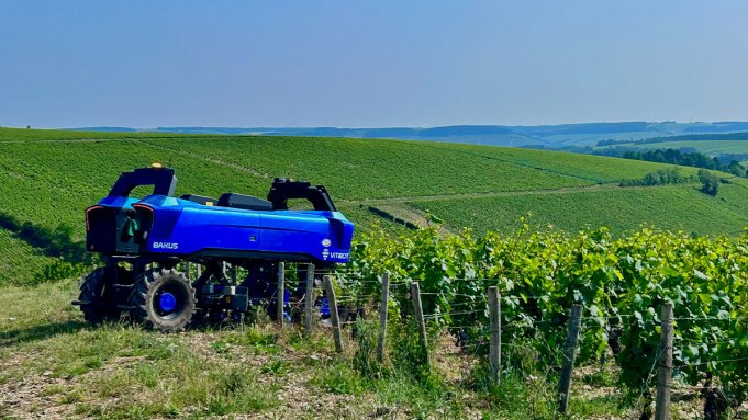 La bataille pour sauver les vignobles de Bourgogne de temps extrême