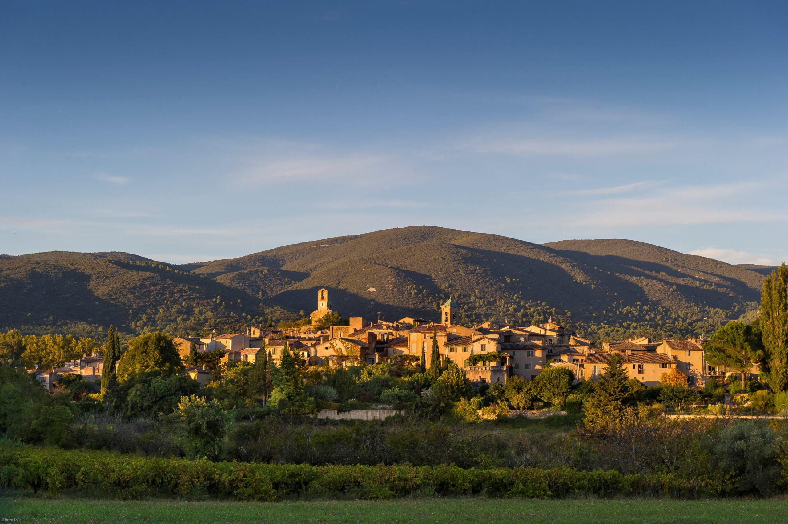 La récolte du Rhône commence tôt avec le «vintage de haute qualité» prévu