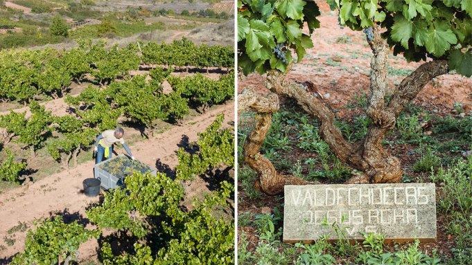 Le vin de Rioja est meilleur que jamais en ce moment - voici pourquoi