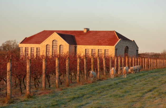 Mentzendorff Onboards Exton Park dans l'ajout du Hampshire