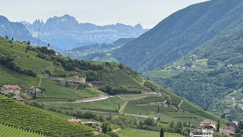 Alto Adige, dans le nord-est de l'Italie, est l'un des secrets les mieux gardés du monde du vin. Découvrez 14 des meilleurs vins blancs à essayer de la région.