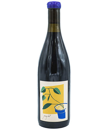 Priez Tell Pinot Noir 2021 est l'un des meilleurs pinot noirs de l'Oregon pour moins de 50 $. 