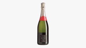 Vins El Cep 2016 Claror Brut Nature Gran Reserva Cava