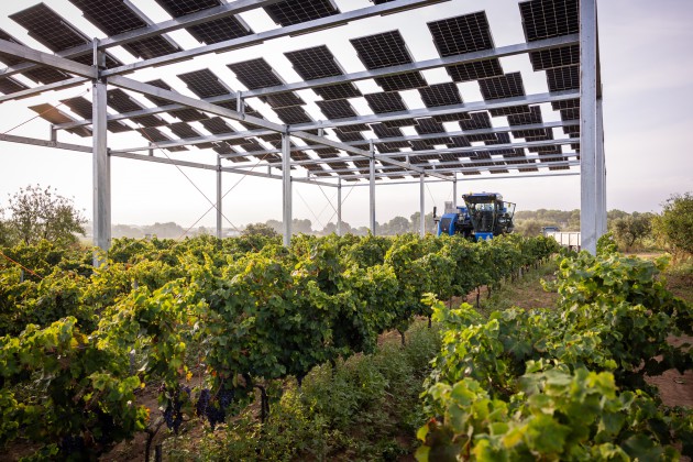 Familia Torres lance un nouveau projet solaire innovant