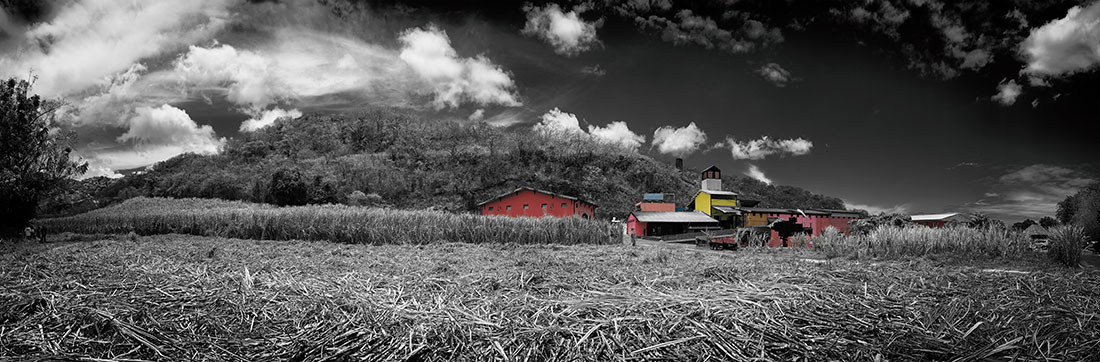 Rhum : histoire, styles et conseils pour choisir le meilleur