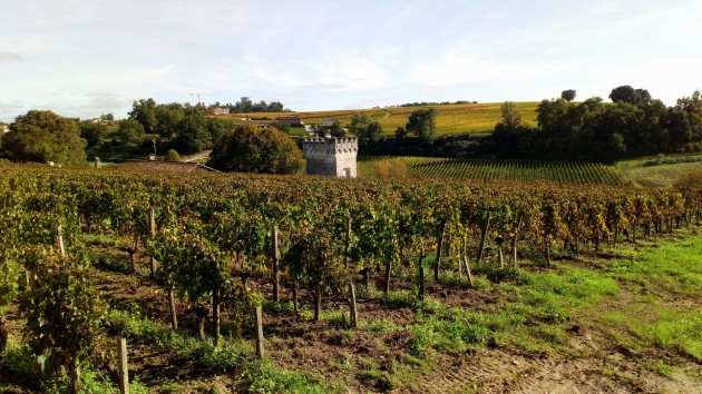 Liv-ex : Bordeaux signale des signes de reprise pour le vin fin