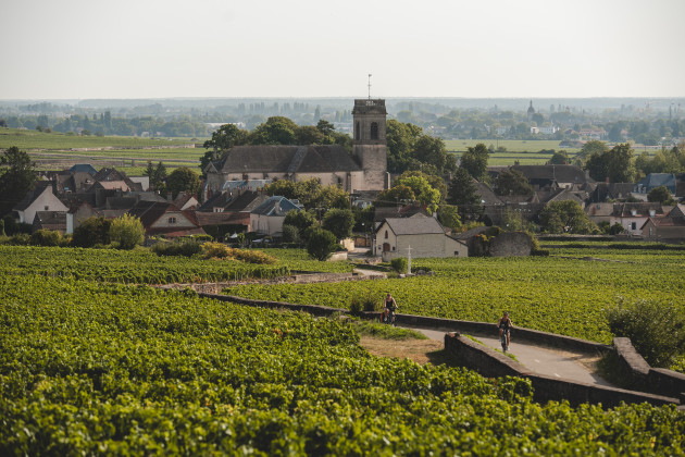 North South Wines s'associe au producteur bourguignon Jean Bouchard