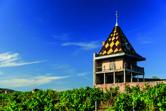 WineCap dessine les fortunes changeantes de Bordeaux et de la Bourgogne