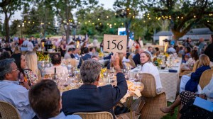 vente aux enchères de vin