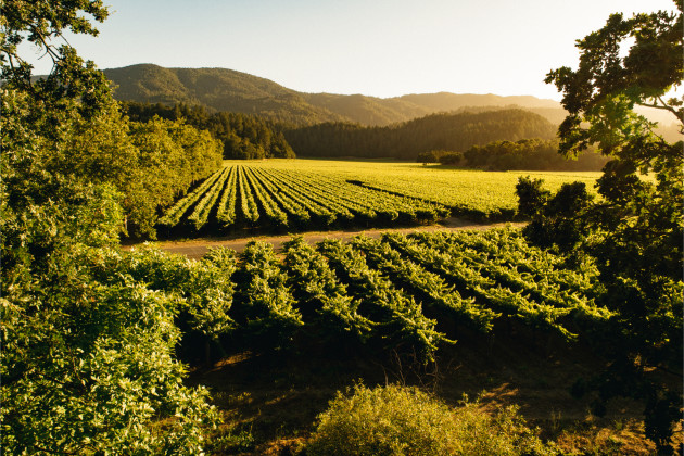 Hallgarten & Novum élargit son portefeuille californien