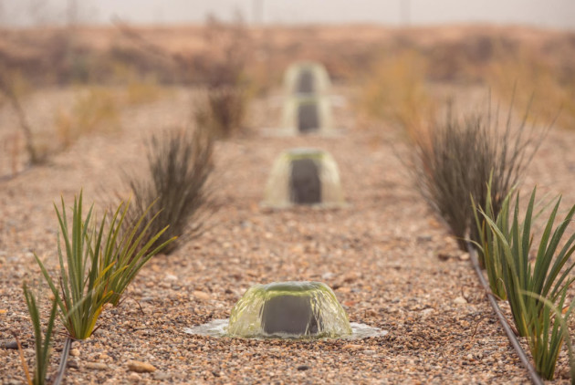 Raimat lance la plus grande station d'épuration naturelle d'eau par gravité d'Europe