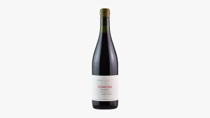 Bodega Chacra 2022 Treinta y Dos Pinot Noir Patagonie