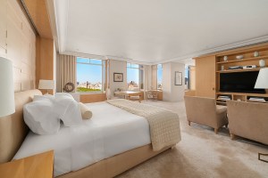Résidence Roger Sant Ritz Carlton