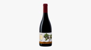 Recanati Winery 2020 Réserve Petite Sirah Galilée Israël