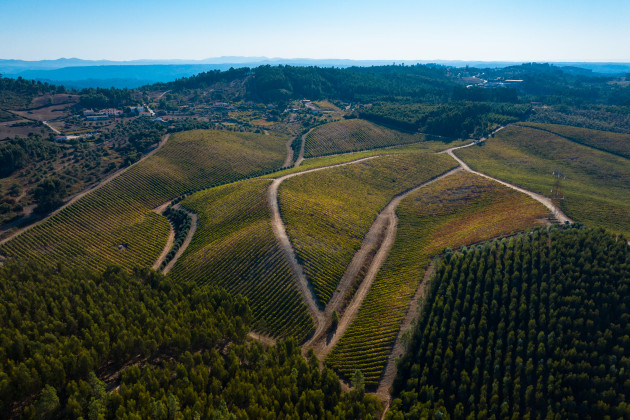 Le terroir de la région du Tejo Serras reconnu