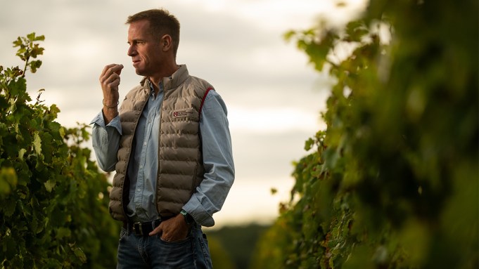 Le vignoble bordelais enfreint glorieusement toutes les règles