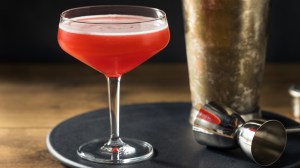 Rose aux yeux sauvages