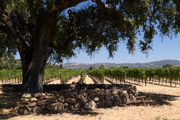 Flint Wines annonce un partenariat avec Kistler Vineyards