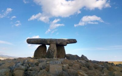 Lecture du vendredi : La montée de la Rioja blanche