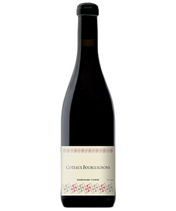 Le Marchand-Tawse Coteaux Bourguignons 2023 est l'un des meilleurs Bourgognes rouges qui n'est pas le Pinot Noir.