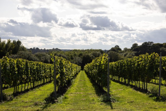 Concours « Taste of England » lancé par Chapel Down