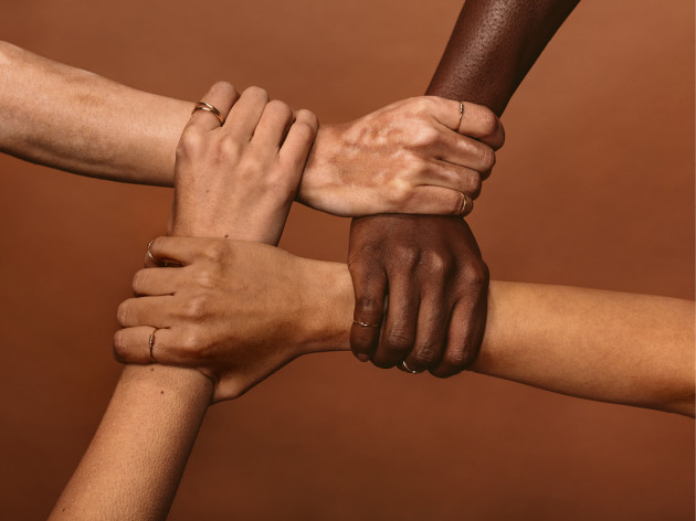 Curious Vines s'associe à MMD pour créer une bourse pour la diversité des diplômes