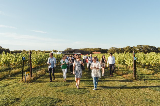 Le nouveau UK Vineyard Guide s’apprête à soutenir l’œnotourisme