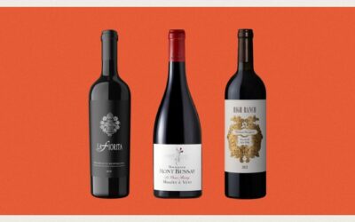 Les 7 meilleurs vins à boire en grillant cet été