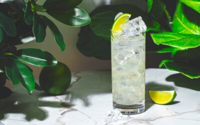 Comment faire une mort dans le Gulf Stream, un cocktail approuvé par Hemingway avec du gin néerlandais