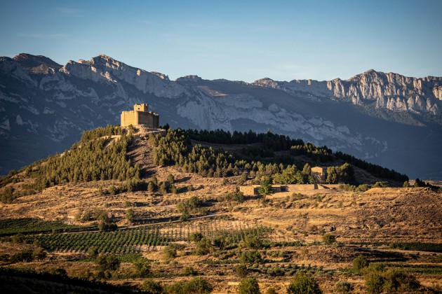 La Rioja lance une initiative pour connecter les importateurs avec des vins non représentés