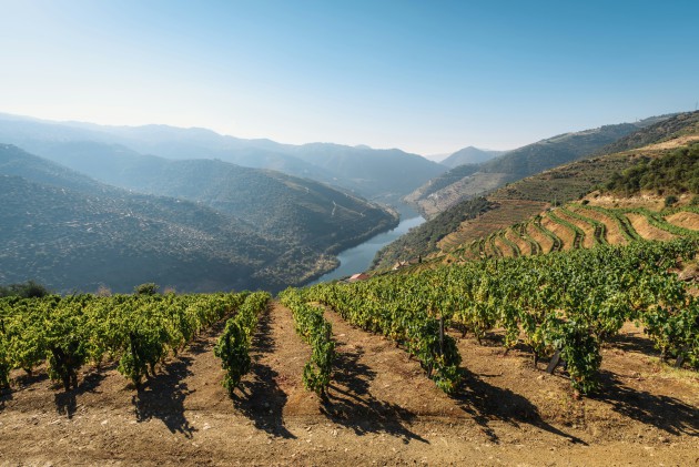 Le festival du vin de Porto organisera son premier événement au Royaume-Uni en juin