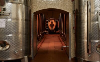 Le rouge bordeaux vous donne un choc autocollant ? Dirigez-vous plutôt vers cette région italienne.