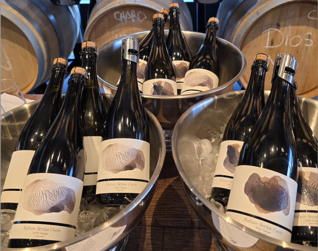 Lecture du vendredi : Artelium x Vagabond Nature Series – une collaboration vin, nature et art