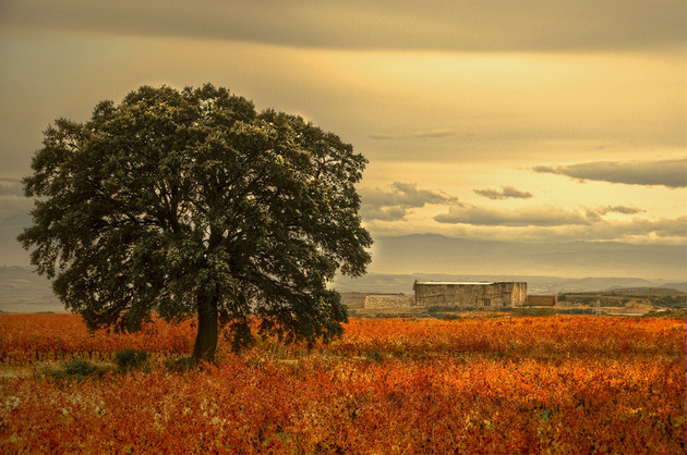 Tourisme : La Rioja a dépassé le million de visiteurs en 2025