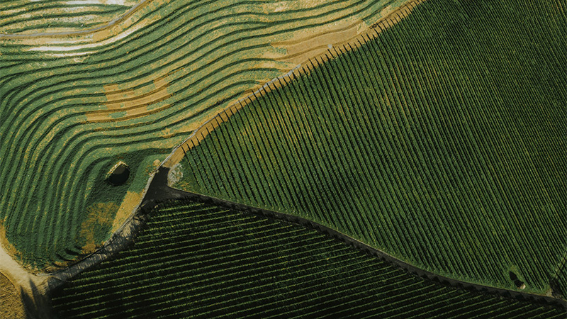 Le Sauvignon Blanc autrichien est une alternative au Sancerre.