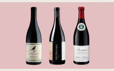 Les 7 meilleurs vins rouges frais à boire cet été