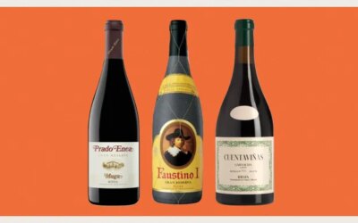 7 vins rouges stellaires de la Rioja à acheter dès maintenant