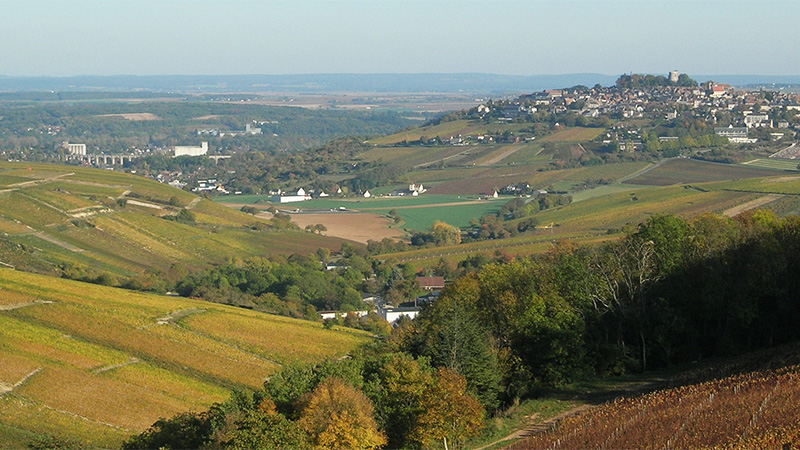 Menetou-Salon est une alternative au Sancerre, l'ultra-populaire Sauvignon Blanc.