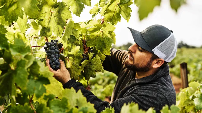 Ce célèbre vignoble de Sonoma produit enfin son propre vin