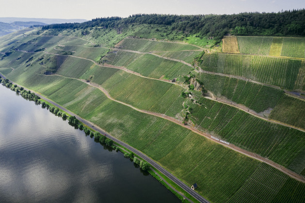 Enotria présente une multitude de nouveaux domaines