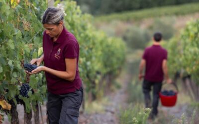 Italie : Fells accueille Grattamacco et Poggio di Sotto au portefeuille